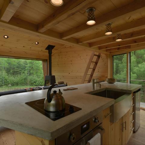 cabin, wooded, wood, pond, lake, glass, fireplace, 