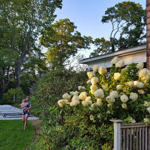 Hamptons, pool, deck, bathroom, kitchen, 