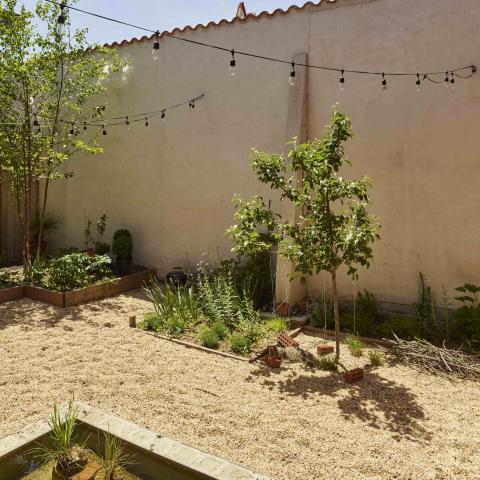 industrial, light, concrete, garden, textured walls, 