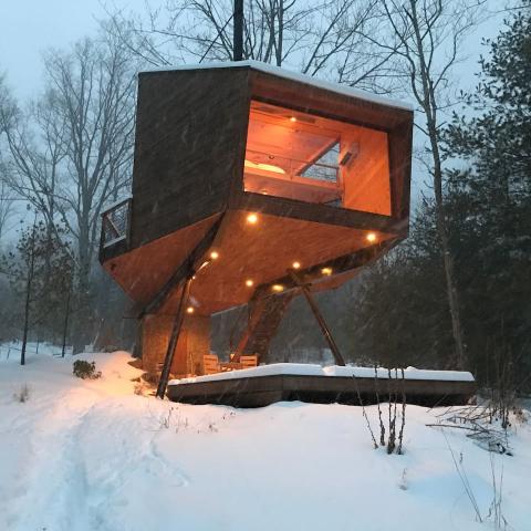 cabin, wooded, wood, pond, lake, glass, fireplace, 