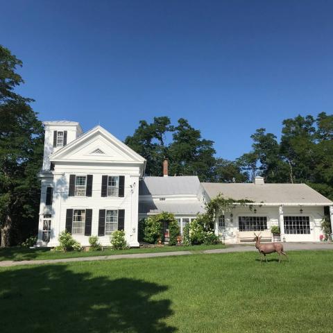 victorian, traditional, white, garden, 