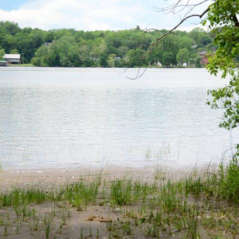 water, barn, rustic, 