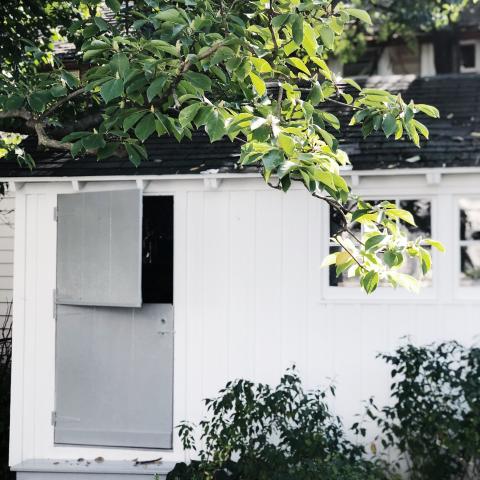 suburban, white, light, airy, traditional, contemporary, porch, 