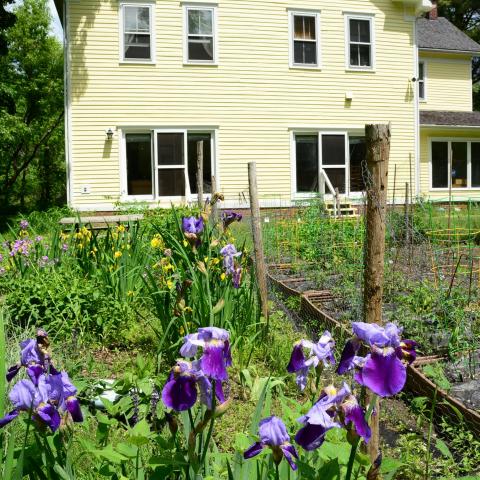 water, barn, rustic, 