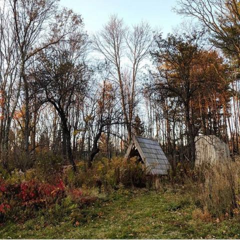 country, cabin, hotel, funky, fireplace, wooded, 