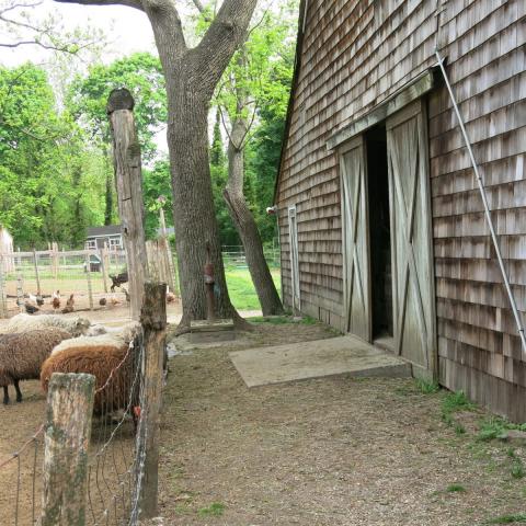 farm, farmhouse, stable, barn, 