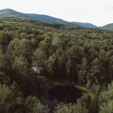 cabin, wooded, wood, pond, lake, glass, fireplace, 