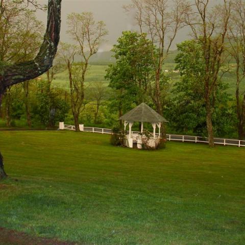 victorian, traditional, white, garden, 