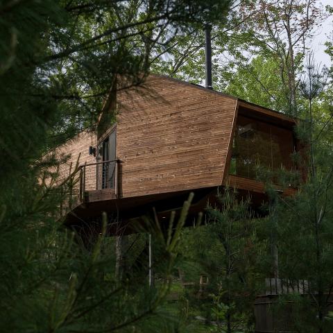 cabin, wooded, wood, pond, lake, glass, fireplace, 