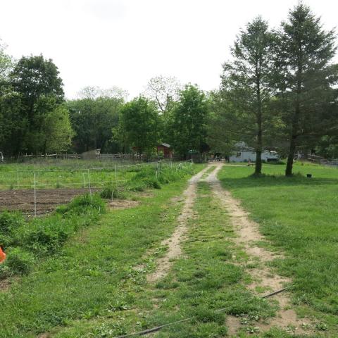 farm, farmhouse, stable, barn, 