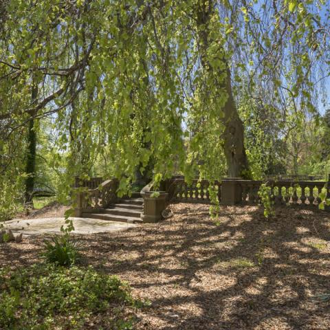 mansion, estate, empty room, traditional, grand, garden, 