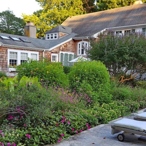 Hamptons, pool, deck, bathroom, kitchen, 