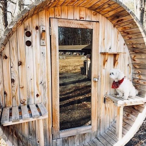 country, cabin, hotel, funky, fireplace, wooded, 