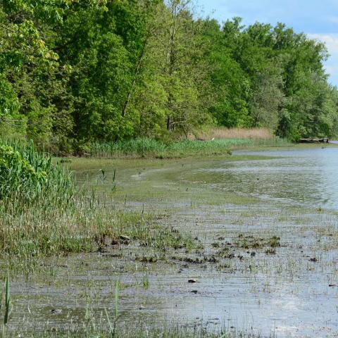 water, barn, rustic, 