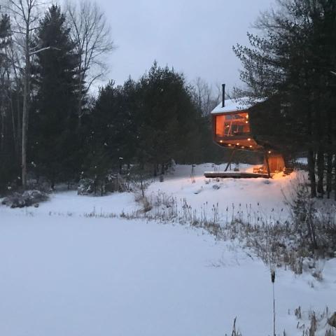 cabin, wooded, wood, pond, lake, glass, fireplace, 