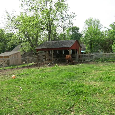 farm, farmhouse, stable, barn, 