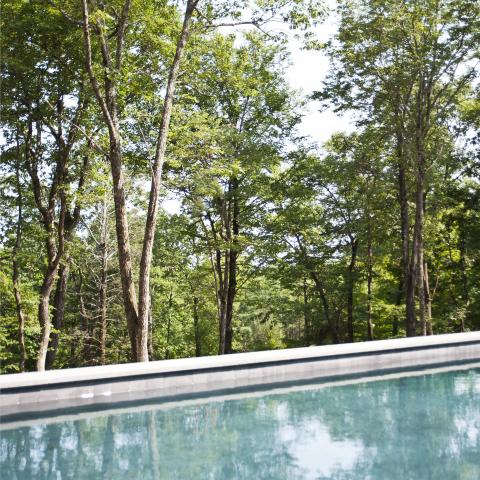 modern, contemporary, pool, wood, rustic, 