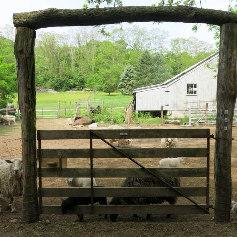 farm, farmhouse, stable, barn, 