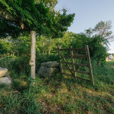 country, farm, horse, rustic, library, barn, stable, water, stone, rolling hill, greenhouse, boathouse, 