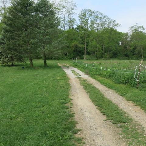 farm, farmhouse, stable, barn, 