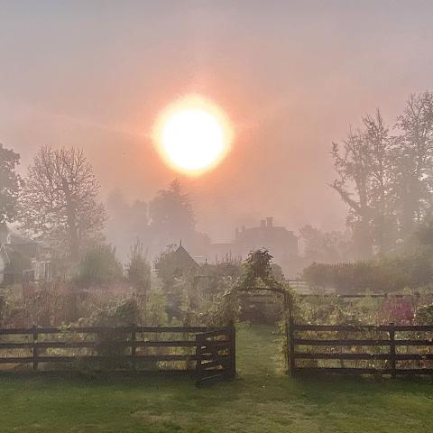 farm, greenhouse, field, rural, country, kitchen, 