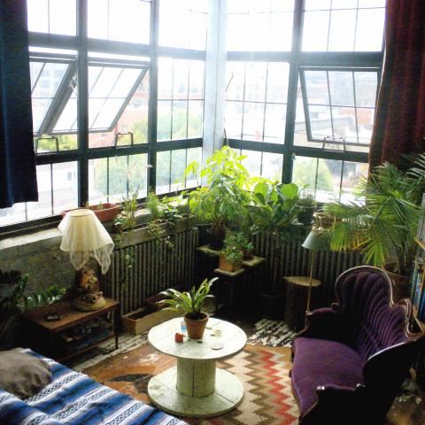 bohemian, funky, eclectic, rooftop, 