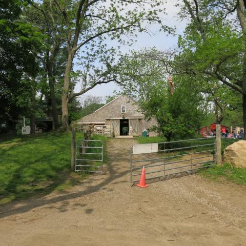 farm, farmhouse, stable, barn, 