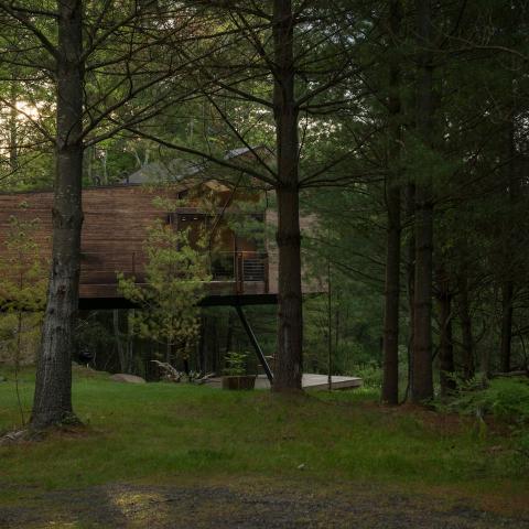 cabin, wooded, wood, pond, lake, glass, fireplace, 