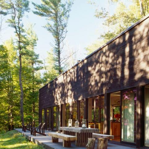 cabin, glass, wooded, light, airy, contemporary, 