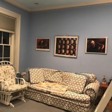 townhouse, traditional, library, 