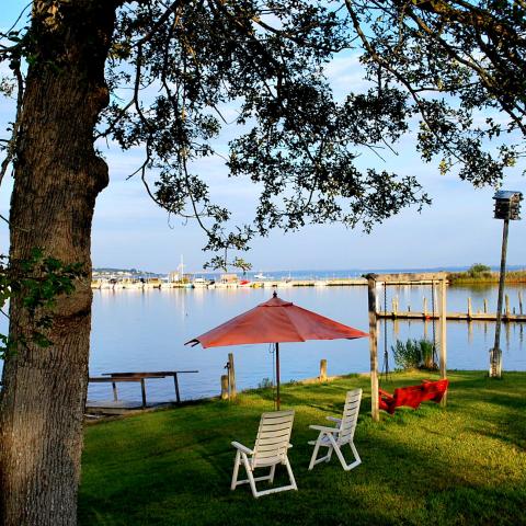 water, deck, dock, pool, traditional, 