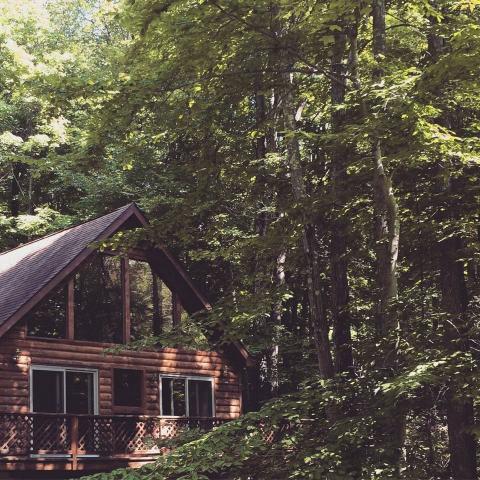 cabin, log house, rural, lake, deck, fireplace, rustic, 