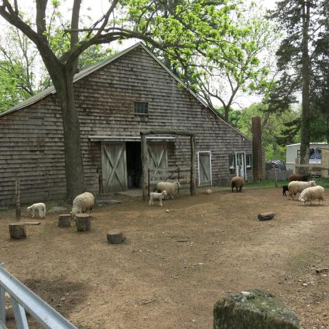 farm, farmhouse, stable, barn, 