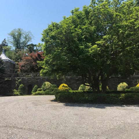 traditional, garden, beach, lawn, 