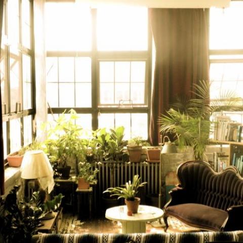 bohemian, funky, eclectic, rooftop, 