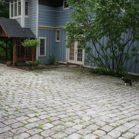 suburban, pool, garden, 