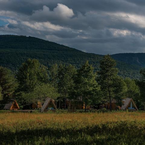 country, cabin, hotel, funky, fireplace, wooded, 