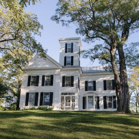 victorian, traditional, white, garden, 
