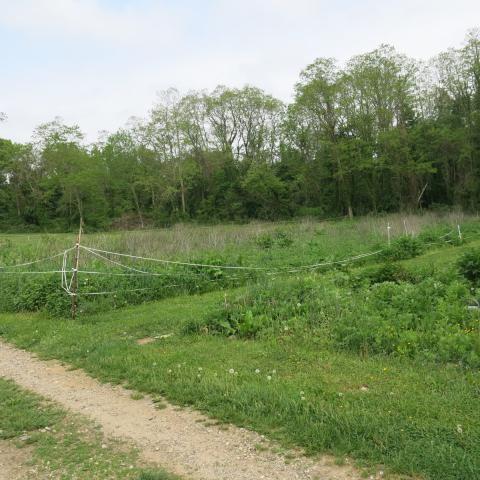 farm, farmhouse, stable, barn, 