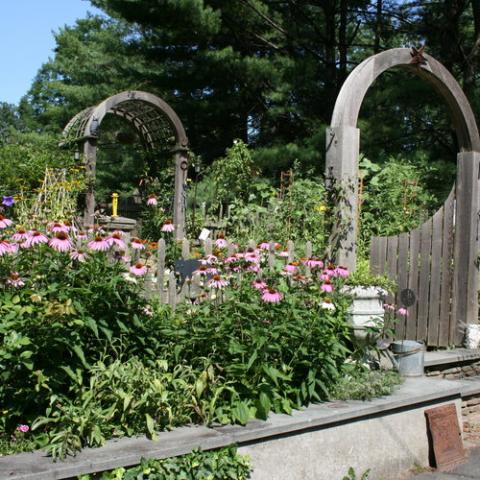 suburban, pool, garden, 