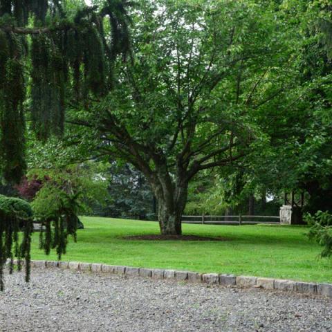farm, farmhouse, barn, pool, field, fireplace, traditional, deck, patio, 
