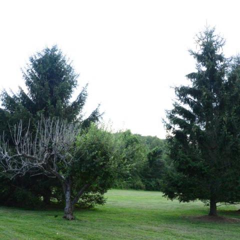 farm, farmhouse, barn, pool, field, fireplace, traditional, deck, patio, 