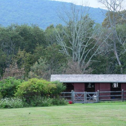 farm, farmhouse, barn, pool, field, fireplace, traditional, deck, patio, 