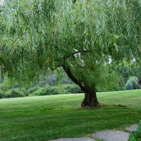 farm, farmhouse, barn, pool, field, fireplace, traditional, deck, patio, 