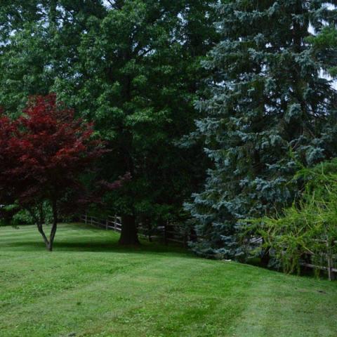 farm, farmhouse, barn, pool, field, fireplace, traditional, deck, patio, 