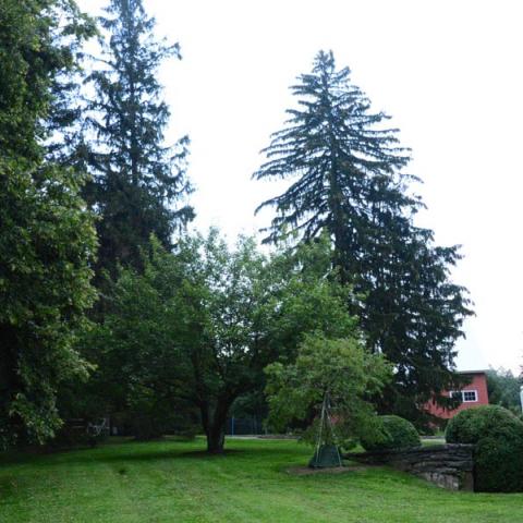 farm, farmhouse, barn, pool, field, fireplace, traditional, deck, patio, 