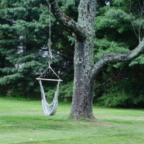 farm, farmhouse, barn, pool, field, fireplace, traditional, deck, patio, 