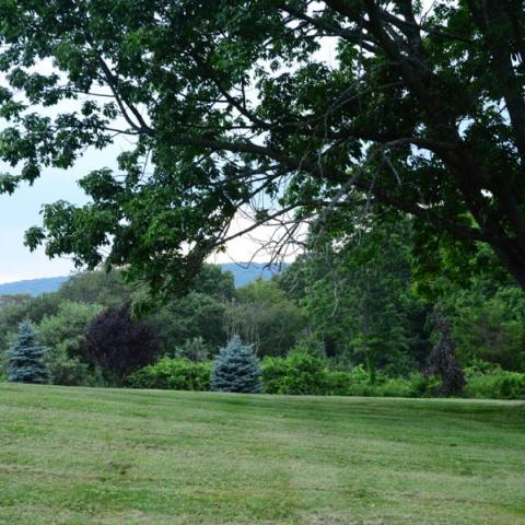 farm, farmhouse, barn, pool, field, fireplace, traditional, deck, patio, 