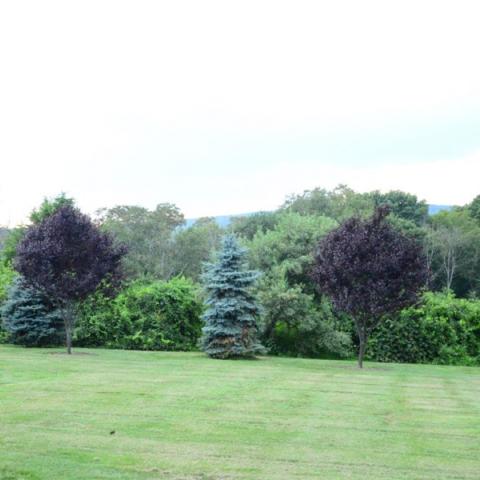 farm, farmhouse, barn, pool, field, fireplace, traditional, deck, patio, 