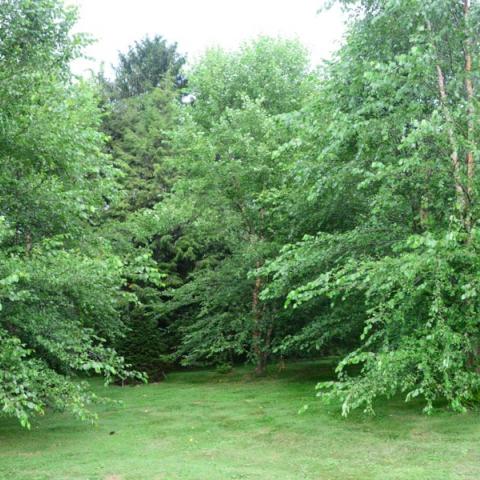 farm, farmhouse, barn, pool, field, fireplace, traditional, deck, patio, 